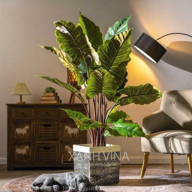 Cây khoai nước giả